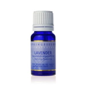 lavender essential oil