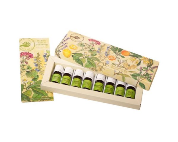 aromatherapykit 600x480 - Aromatherapy Essential Oils